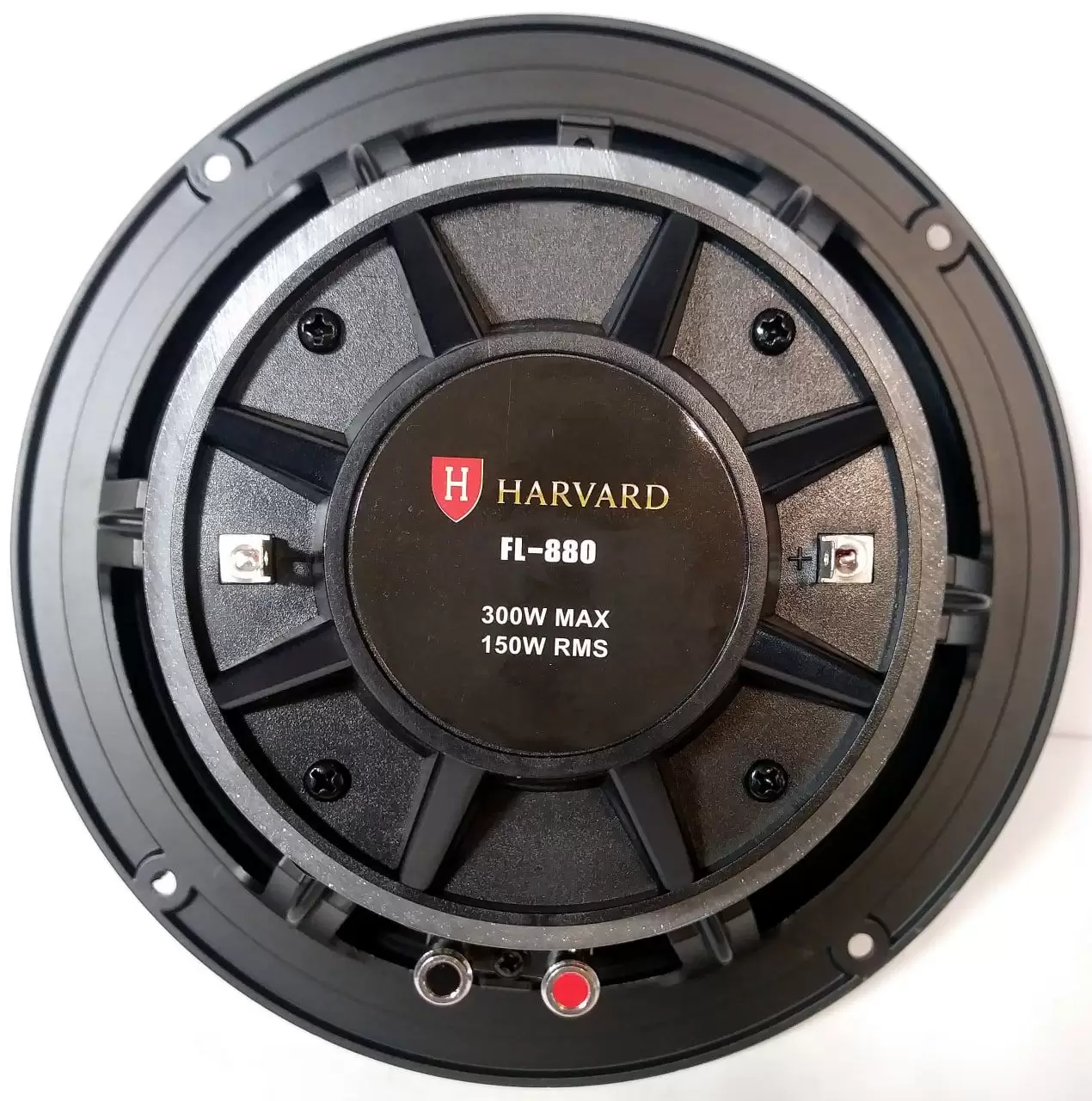 فول رنجر هاروارد